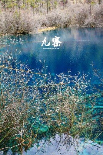 就在西湖边，回归！老杭州早上6点就来排队：只有这里才能买到正宗的！
