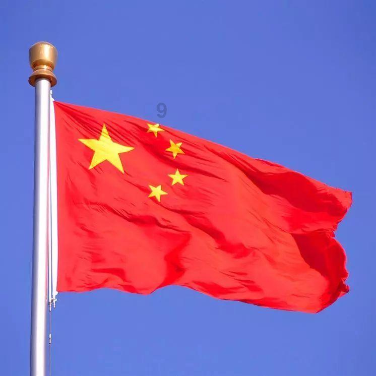 救援非洲金猫