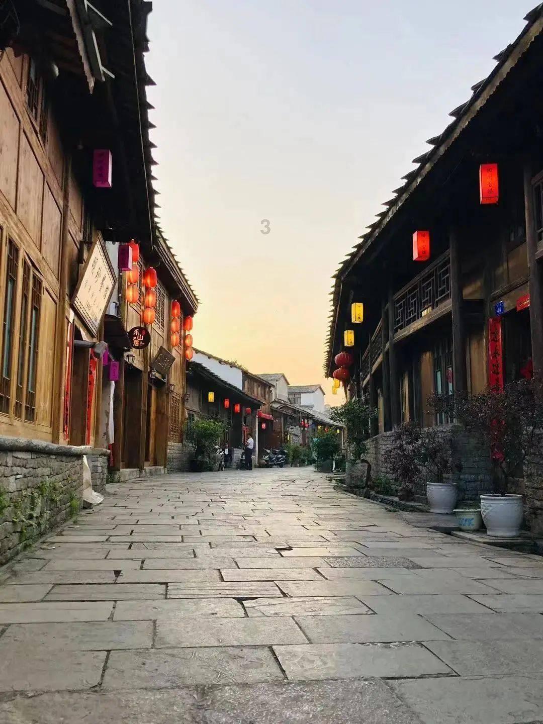 救援受困的长颈鹿